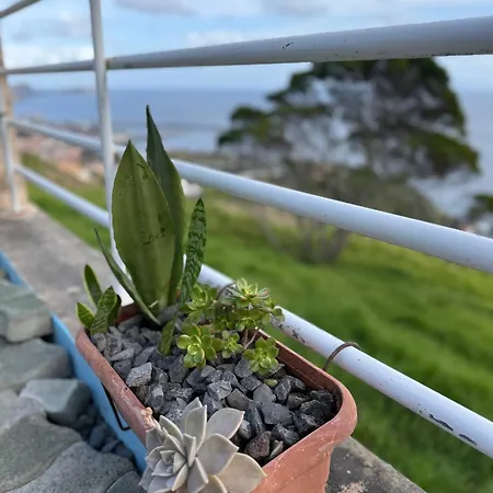 Apartmán Sao Lourenco *