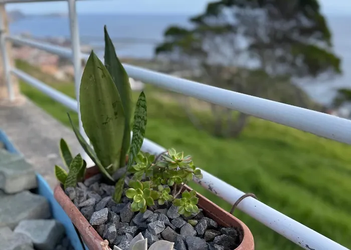 아파트 Sao Lourenco *